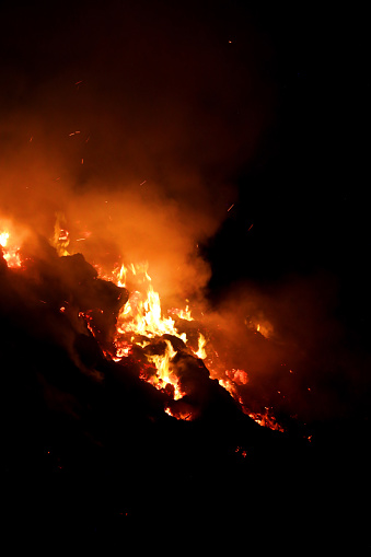 Burning fire at night in forest.
