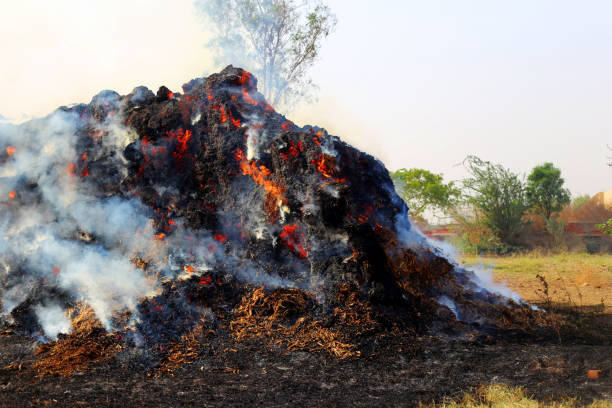 Burning fire environmental damage in the field.
