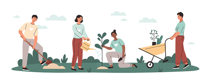 Caring for nature and environment concept. Young volunteers plant trees in city park or forest. Men and women with shovels and watering cans grow plants outdoors. Cartoon flat vector illustration