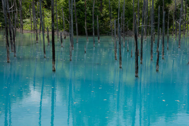 istock Blue pond in early summer 1394088942