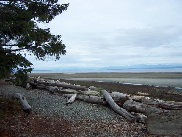 istock Miracle Beach in the Comox Valley 1394098720