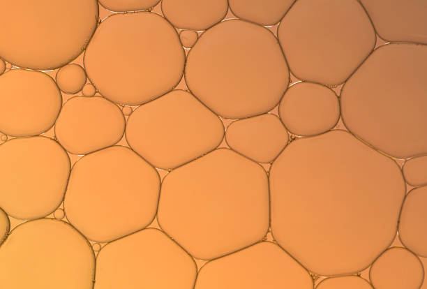 istock Oil and water droplets. 1394105405
