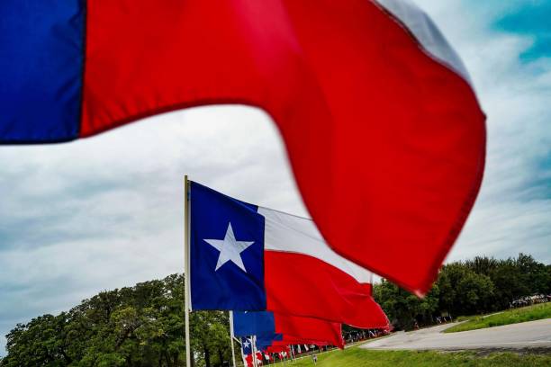 Texas State Flags, Unusual Perspective Texas Flags, multiple in a row. One billows in foreground, showing selective focused flag in the background. Unusual Perspective texas independence day stock pictures, royalty-free photos & images