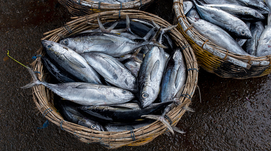Small Tuna Fish in Traditional Market