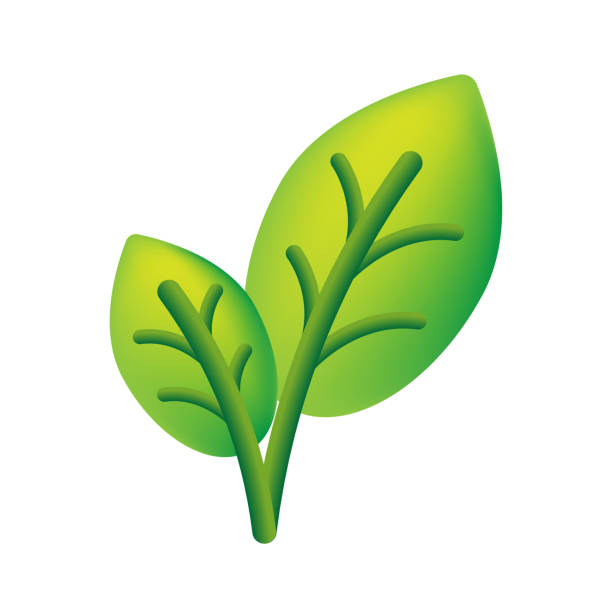173 Green Plant Png Illustrations & Clip Art - iStock