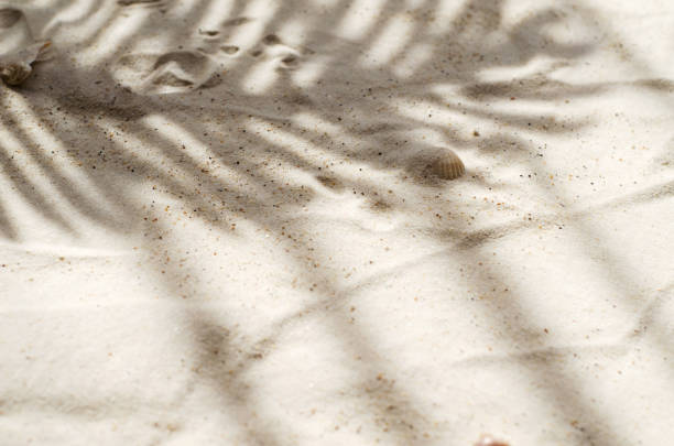 istock An empty background for product display, for marketing. Sand with hard leaf shadow 1394122335