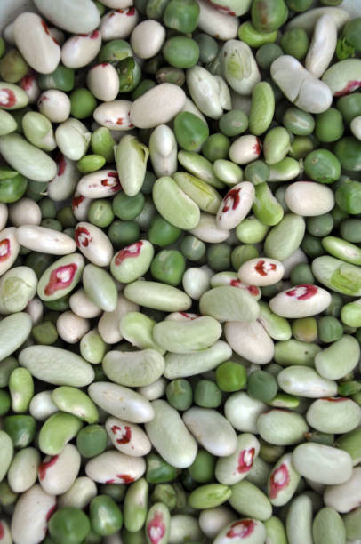 istock Young, unripe multicolored grains beans 1394128482