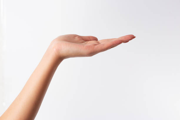 Woman hands holding, showing, giving or supporting something set. Isolated on white, clipping path included