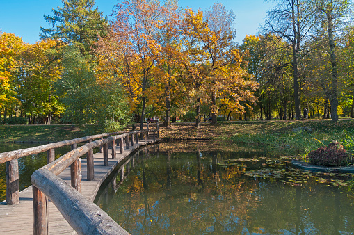 City pond on a sunny autumn day. Vorontsovsky Park, Moscow.