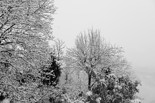 Snowy day, winter landscape.