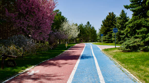 Sports paths in the park.