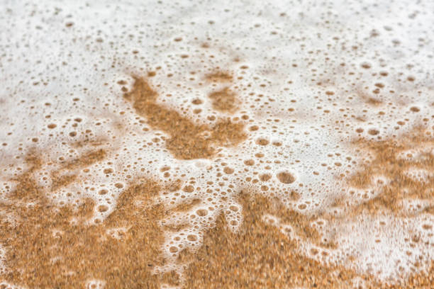 Sea foam, sea water, beach