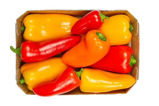Snacking mini sweet peppers, in a cardboard tray. Ripe, fresh bell peppers in three colors, also called capsicums, fruits of  vegetable Capsicum annuum cultivars. Close-up from above macro food photo.