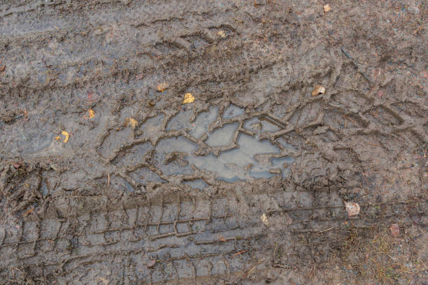 istock texture of tyre tracks in mud 1394139683