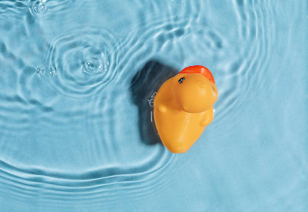 istock Yellow rubber toy duck in a blue pool. Summer concept. Top 1394146196
