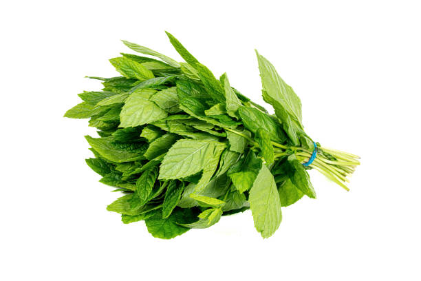 istock a freshly picked bunch of fresh mint on an isolated white background 1394147096