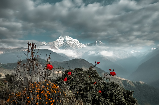 Nepalese mountain Range - Anapurna