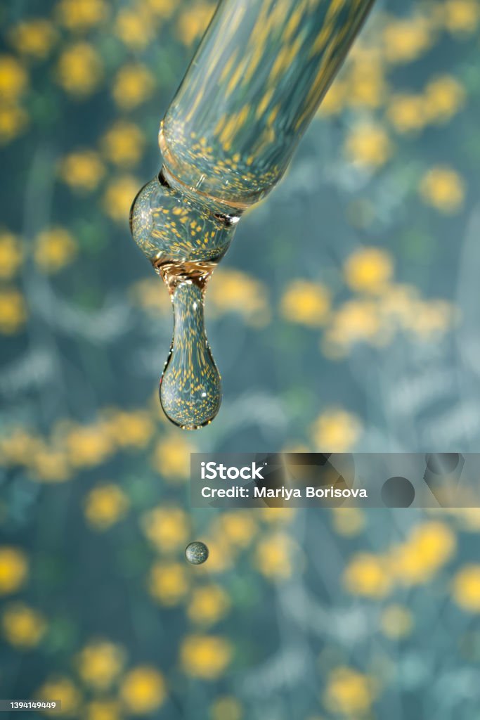 A dripping pipette with a drop of cosmetics gel. A dripping pipette with a drop of cosmetics gel, serum or oil. Green background with yellow flowers. Essential Oil Stock Photo