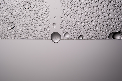 Drops on a transparent gray background. It can be a good illustration of the moisturizing properties of cosmetics or a water-repellent for glass.