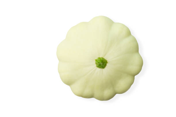 white pattypan squash isolated on white background, top view. - pattypan squash imagens e fotografias de stock