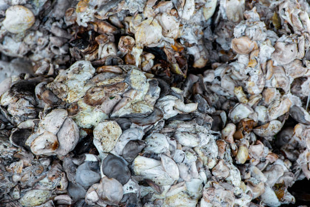 istock Close up view of raw rubber 1394154283