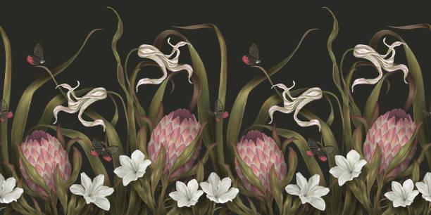 Dark exotic pattern. Wallpaper with pink protea and white flowers lilies and tulips. Floral border, dark background. Hand drawn realistic panoramic horizontal illustration. Garden vintage background