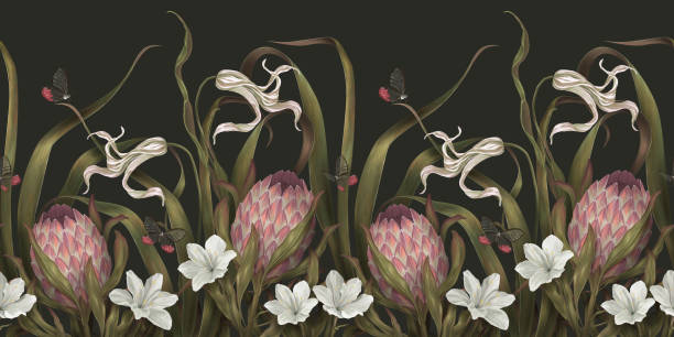 Dark exotic pattern. Wallpaper with protea and white flowers lilies and tulips. Floral dark border. Hand drawn realistic drawing. Panoramic horizontal illustration. Garden vintage background Dark exotic pattern. Wallpaper with pink protea and white flowers lilies and tulips. Floral border, dark background. Hand drawn realistic panoramic horizontal illustration. Garden vintage background dark illustrations stock illustrations