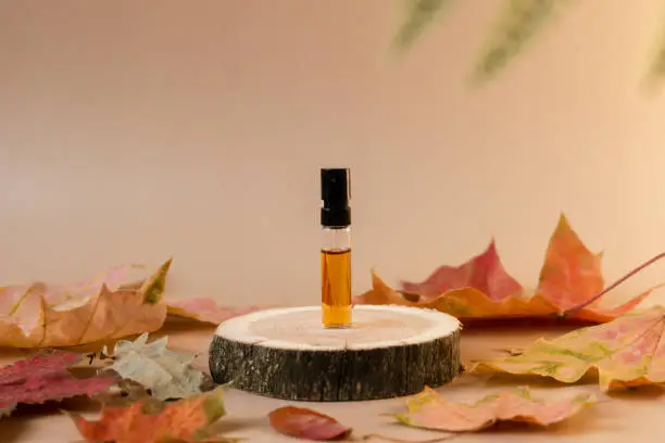 Glass perfume sample with brown liquid on a wooden tray standing on beige background with fallen leaves around. Luxury and natural autumn cosmetics presentation. Tester on a woodcut. Front view