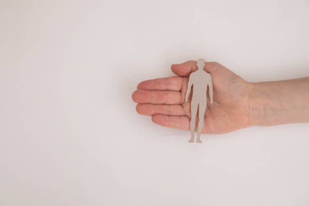 istock Paper human in woman hands. 1394156813