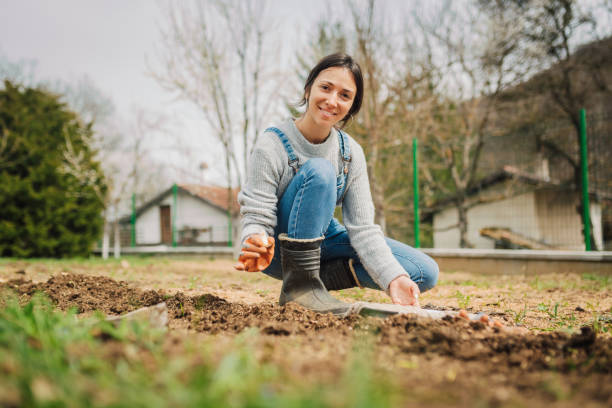istock Farmer woman during garlic planting process 1394156842