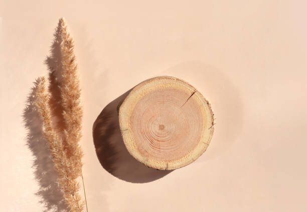 istock Woodcut lying on a trendy beige background with pampas grass 1394165931