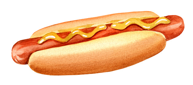 watercolour fast food, hand drawn hot dog, sketch of sausage on white background, food illustration