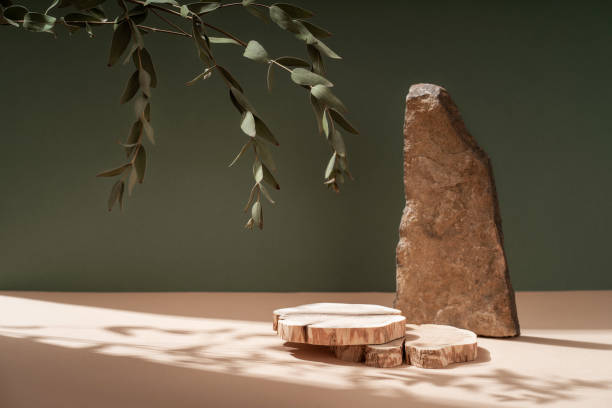Composition empty podium material tree stone dry flowers. Product presentation. Background beige green. Beautiful background from natural materials. Composition empty podium material tree stone dry flowers. Product presentation. Background beige green. Beautiful background from natural materials makeup product photography stock pictures, royalty-free photos & images
