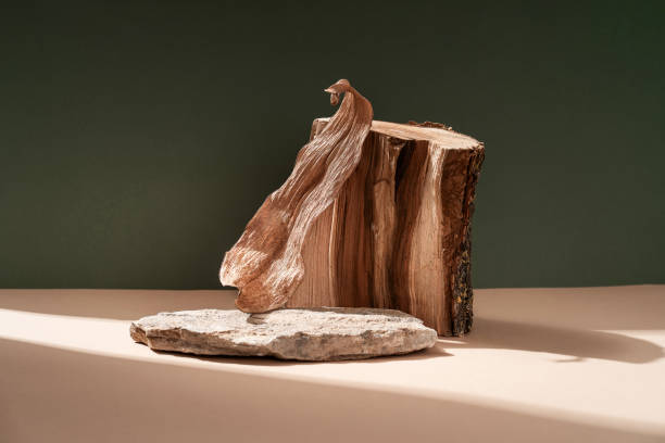 Composition empty podium material tree stone dry flowers. Product presentation. Background beige green. Beautiful background from natural materials.