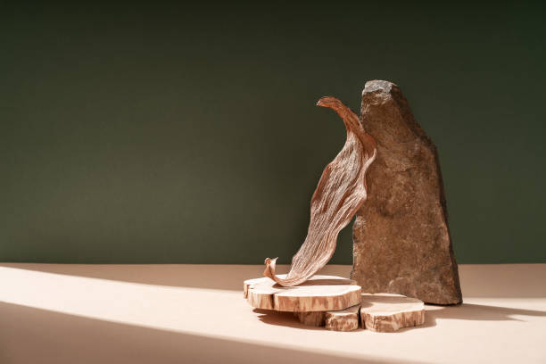 istock Composition empty podium material tree stone dry flowers. Product presentation. Background beige green. Beautiful background from natural materials. 1394168218