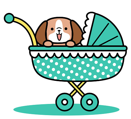 A cute dog in a baby stroller