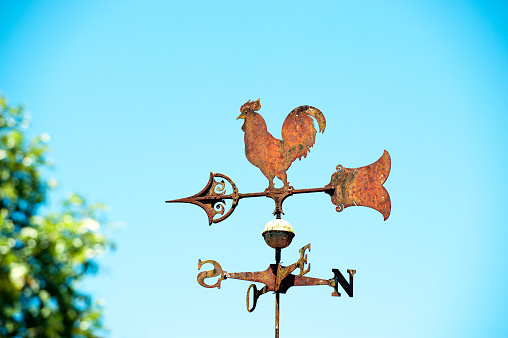 Cow weather vane. Heritage Park, Calgary, Alberta, Canada.