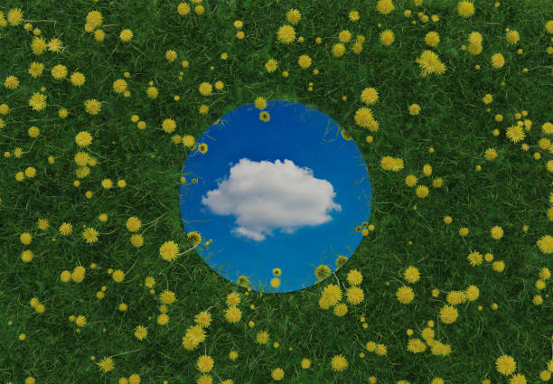 istock 3d rendering of circular mirror reflecting single white cloud and surrounded by yellow dandelions. Flat lay of nature style concept 1394172132