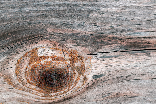 Grunge old brown wood door textured background