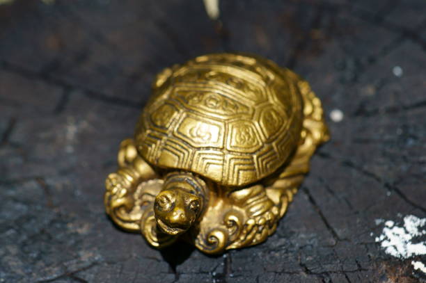 istock A turtle figurine on a dark wooden background. 1394193989