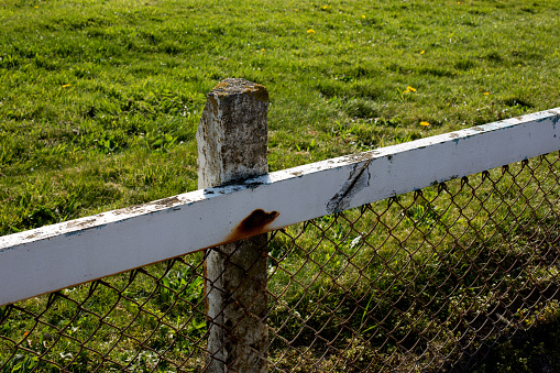 Old timber and wire fence situated in a farm field