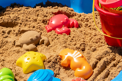 Plastic molds used by children to create different animals and shapes in the sand box