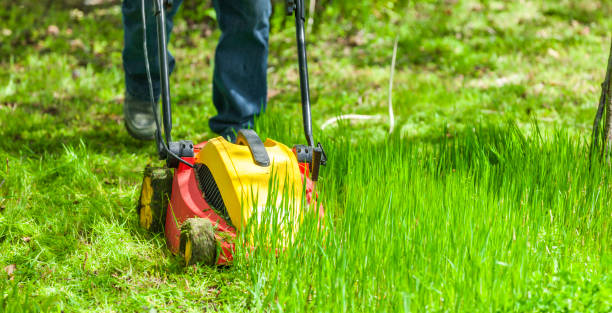 istock Mowing the lawn in a green meadow 1394197536