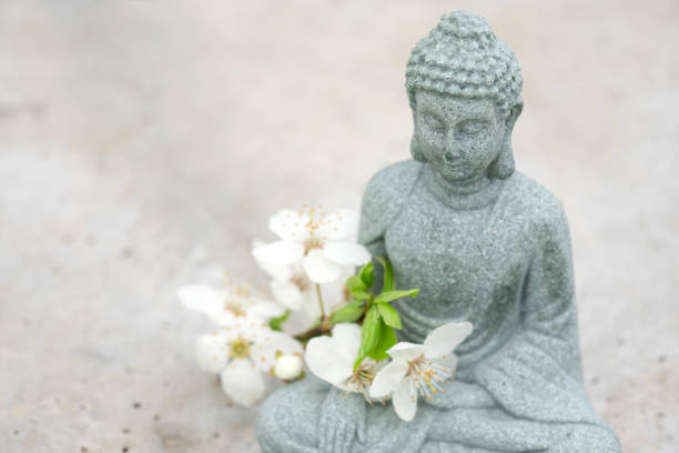 Closeup view of Buddha statuette with blooming cherry tree branch on concrete background with copy space. Meditation and spa concept, mental health. Time for yourself