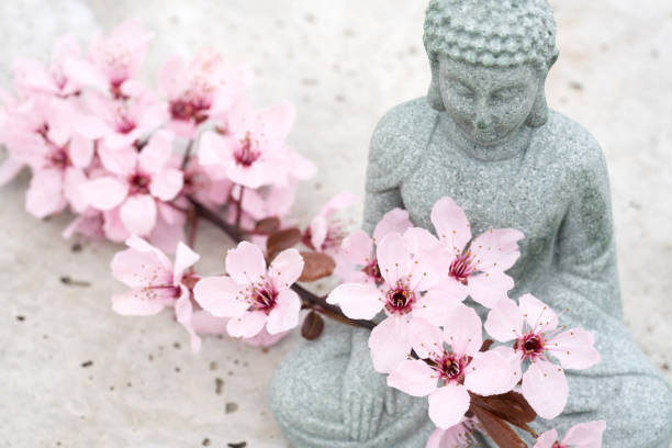 Buddha statuette with blooming sakura branch on concrete background with copy space. Meditation and spa concept, mental health. Time for yourself