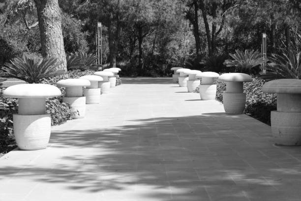 park alley with flower plantings