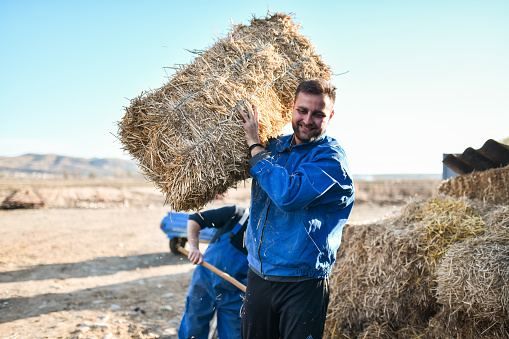 Smiling Farmers Working With Hay