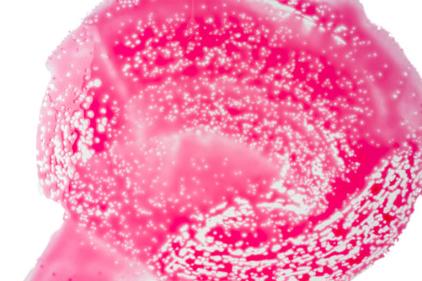 Stain of beet juice spread on a white acrylic with a sponge. Interesting  visual effect. Image made in studio.