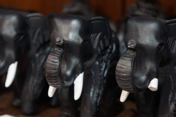 Elephants stock photo