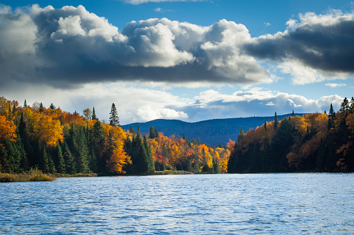 Colorful autumn forest by the lake with cloud sky